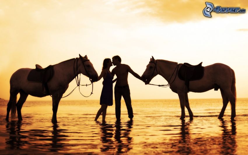 couple, horses