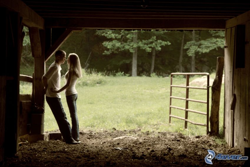 couple, meadow, stable