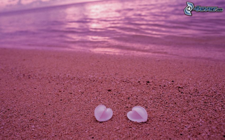 beach, shells, hearts, sand