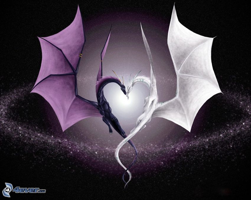 dragons, heart, love