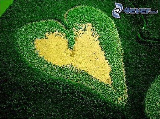 heart, forest