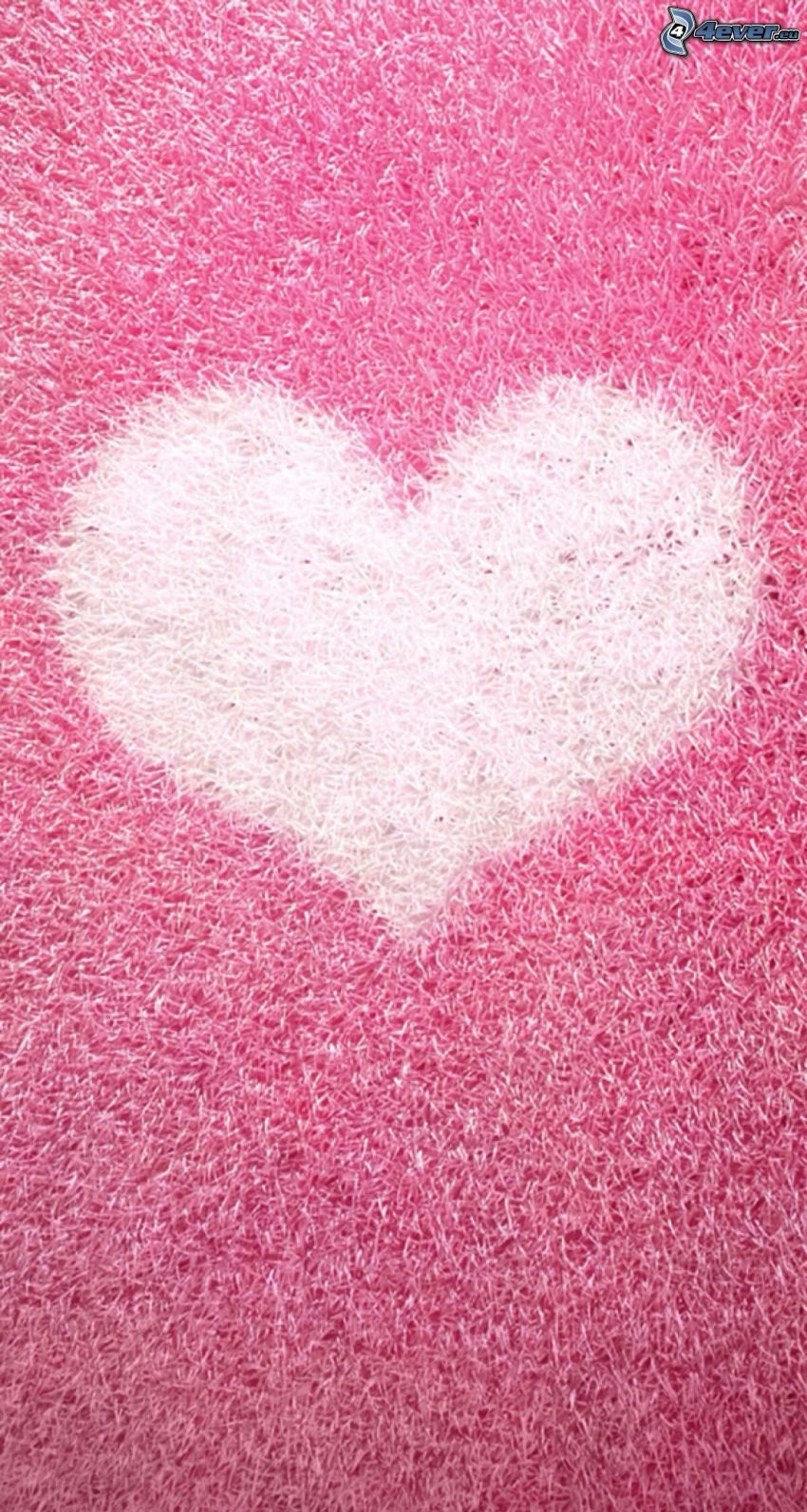 heart, pink background