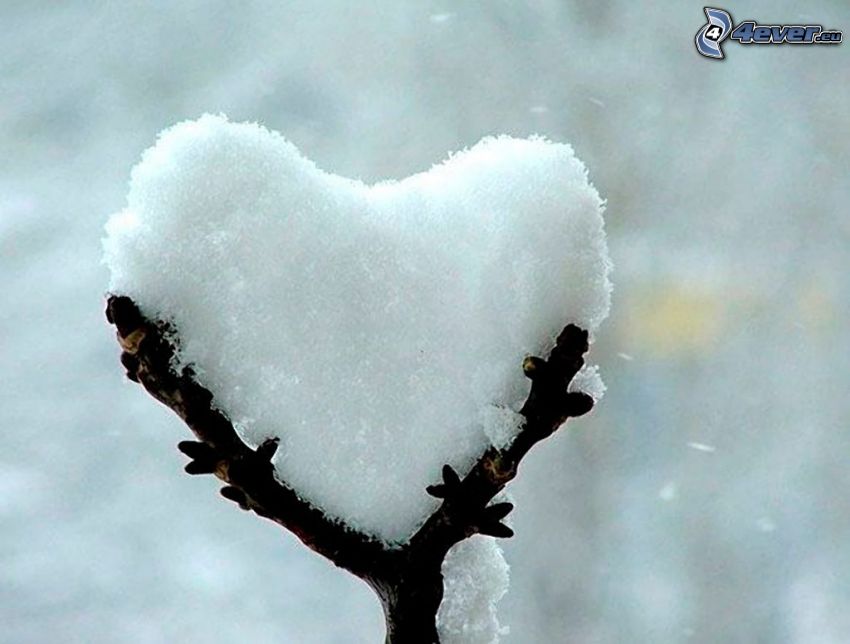 heart, snow, twig