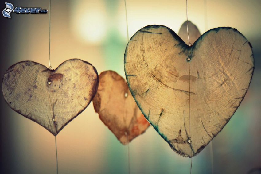 hearts, wood