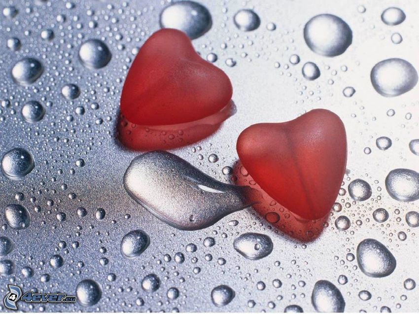 two hearts, love, drops of water