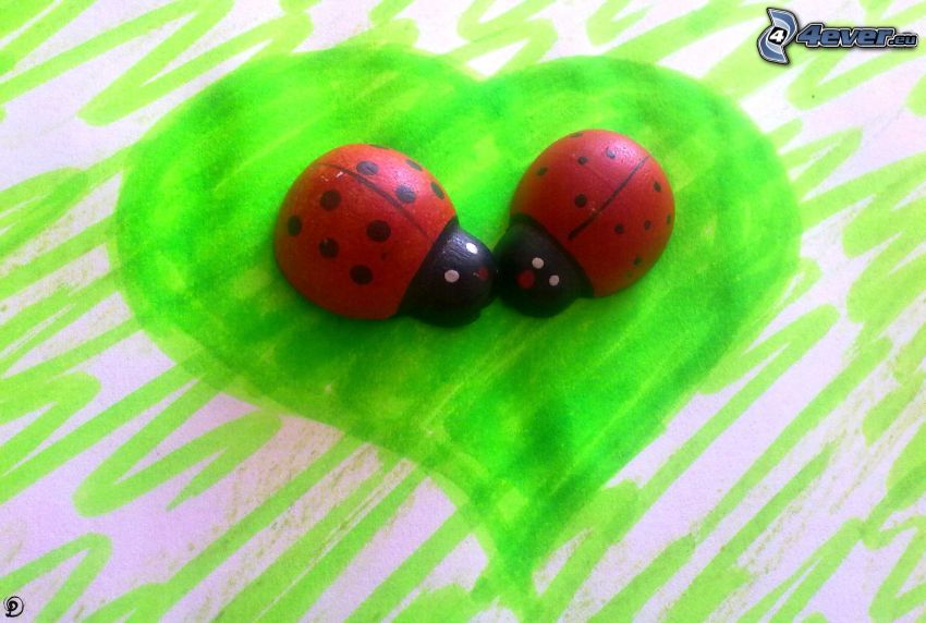 ladybugs, love, green heart