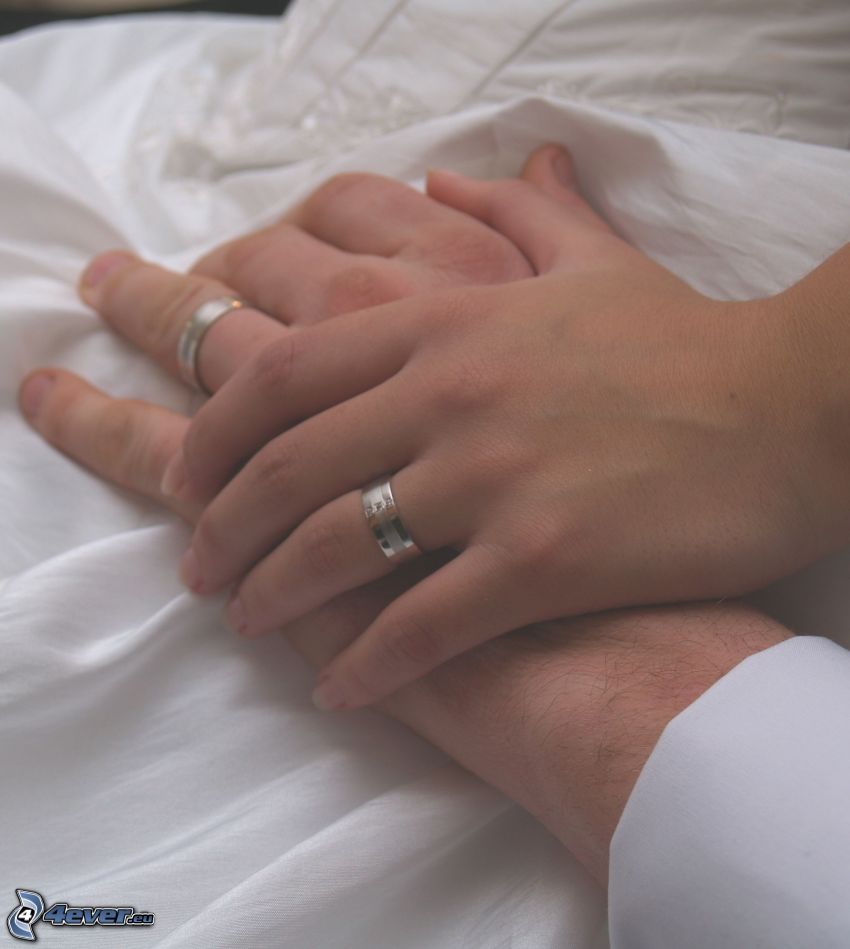 wedding, rings, hands