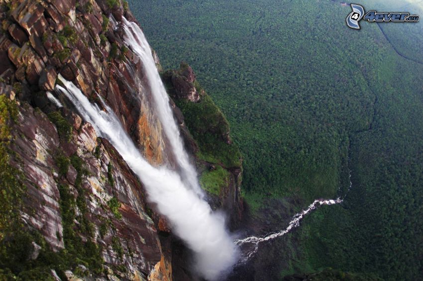 Angel Falls, cliff, forest, Venezuela