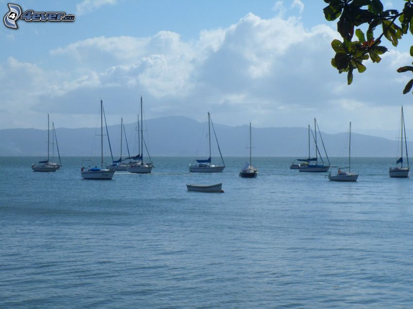 boats on the lake, sailboats