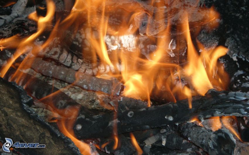 burning wood, fire