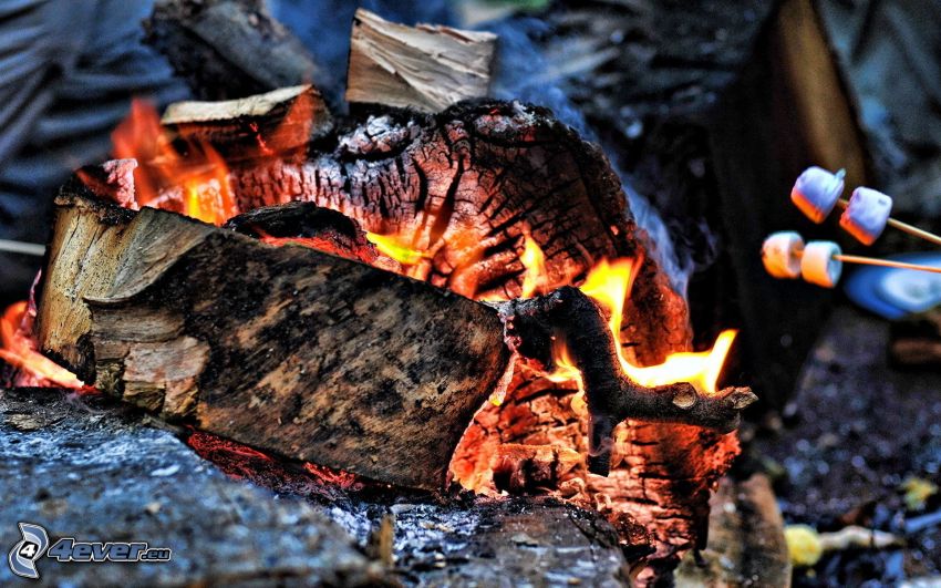 burning wood, hot coals, Marshmallow