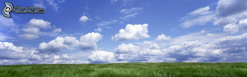 clouds, field