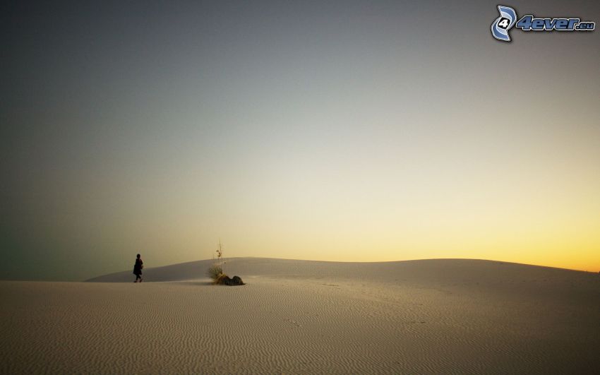 desert, human, evening sky