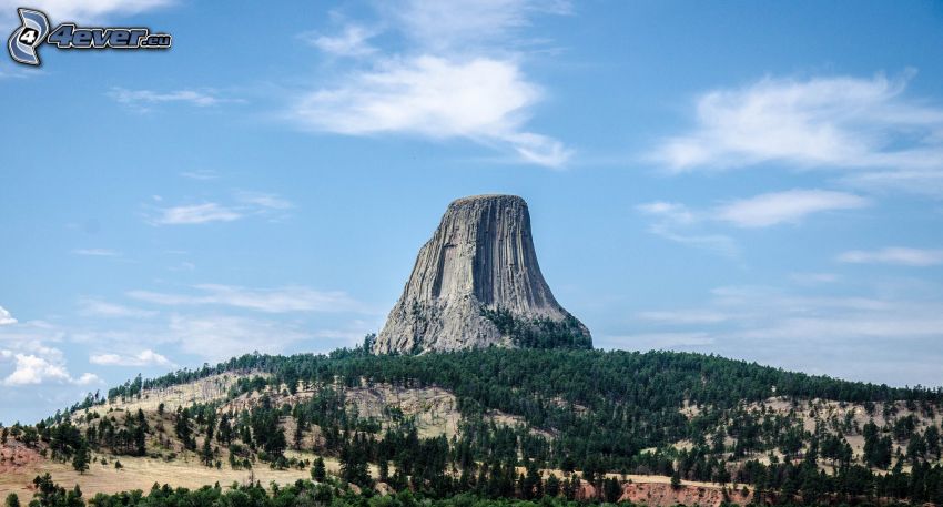 Devils Tower, forests and meadows
