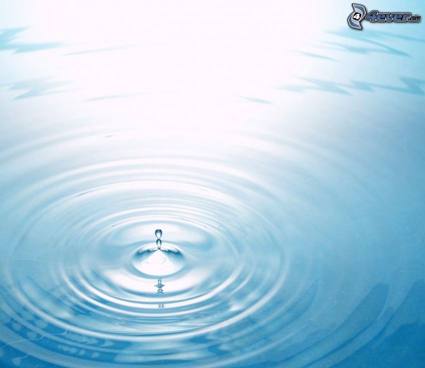 drop, circle on water