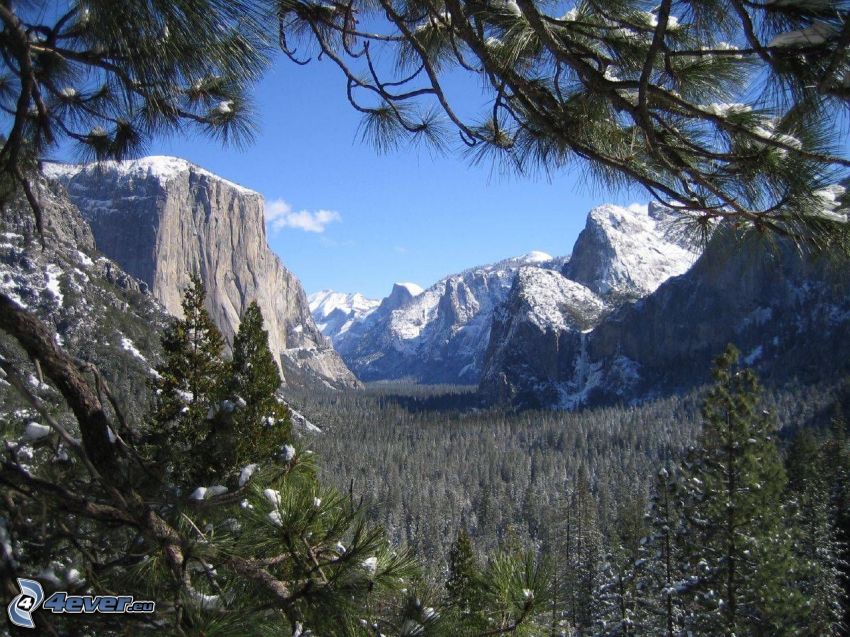 El Capitan, valley, Yosemite National Park
