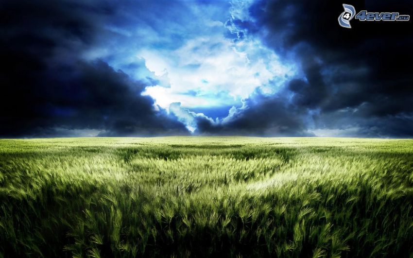 field, storm clouds