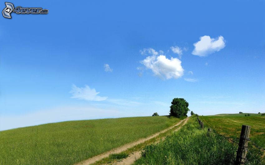 field path, tree, sky, clouds