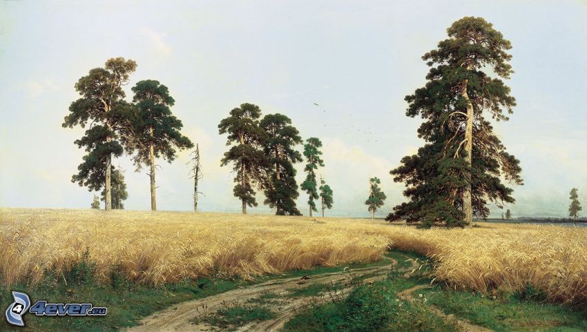 field path, trees