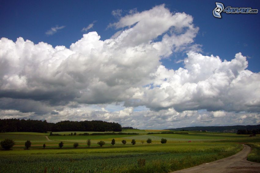 fields, clouds, forest, field path