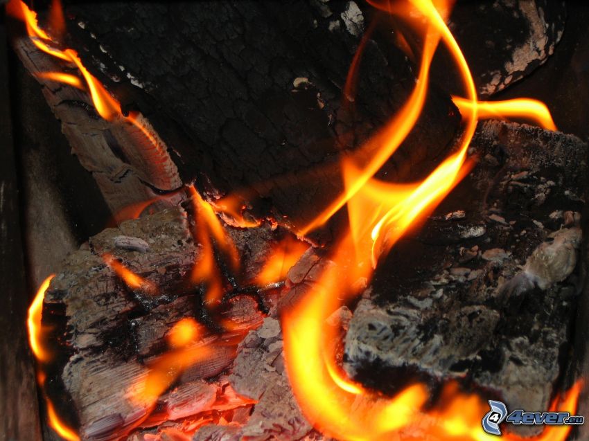 fire, hot coals