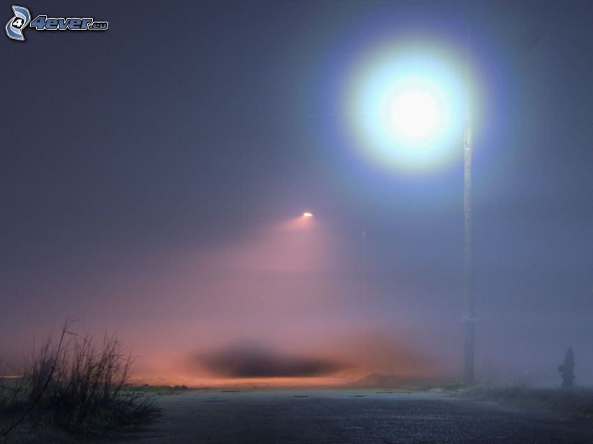 fog, street lamp, snow