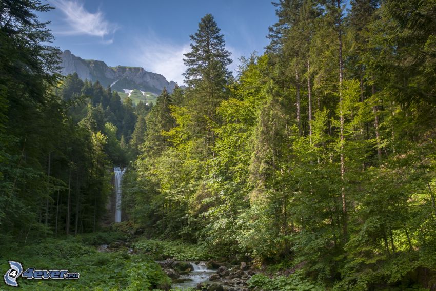 forest, waterfall, mountain