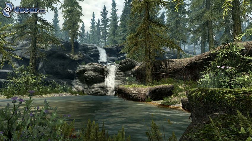 forest waterfall, lake, coniferous forest, rocks