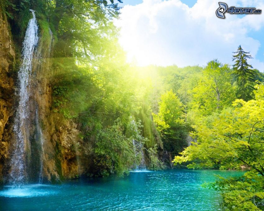 forest waterfall, lake in the forest, green water, sunbeams