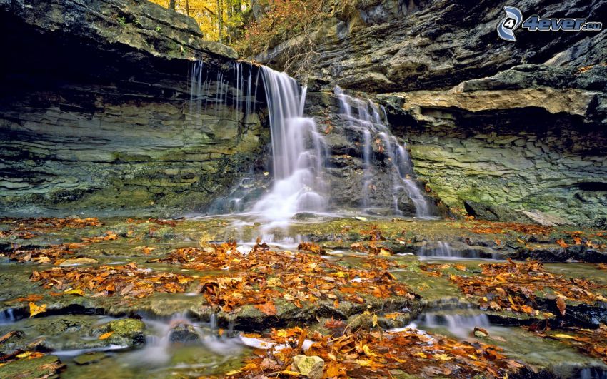 forest waterfall, rocks, fallen leaves, HDR