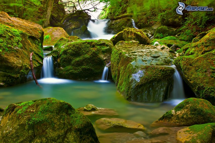forest waterfall, rocks, moss