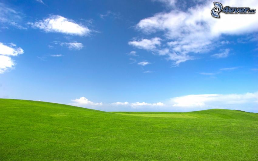 green meadow, clouds