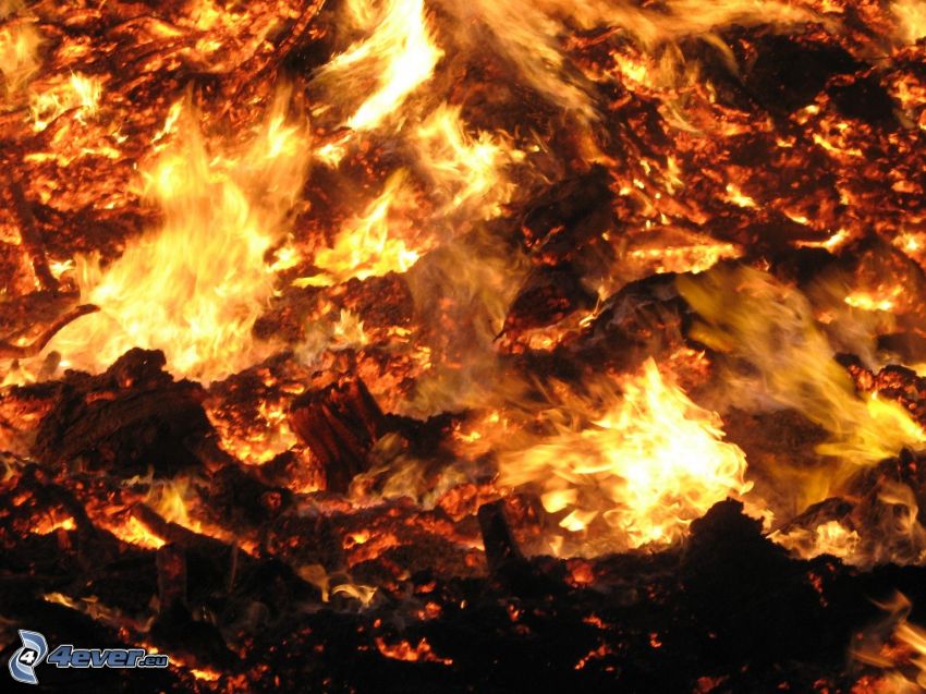 hot coals, fire
