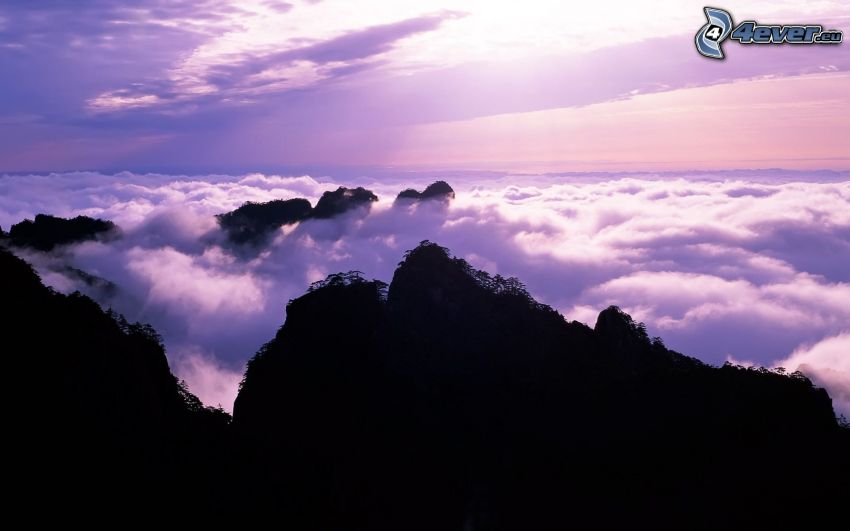 inversion, over the clouds, rocky mountains, purple sky