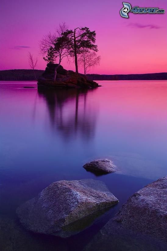 island, trees, lake, boulders, purple sky