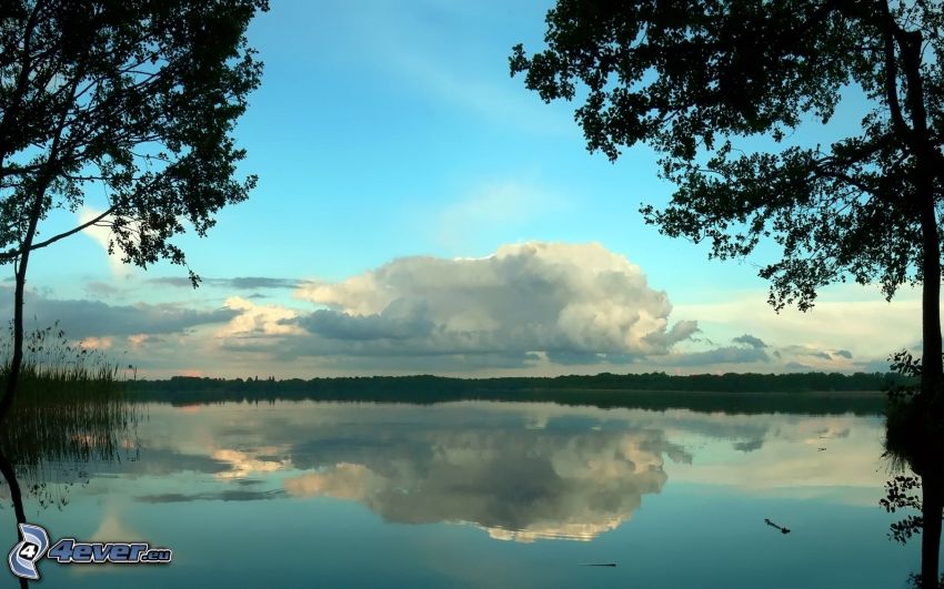 lake, cloud, trees, reflection