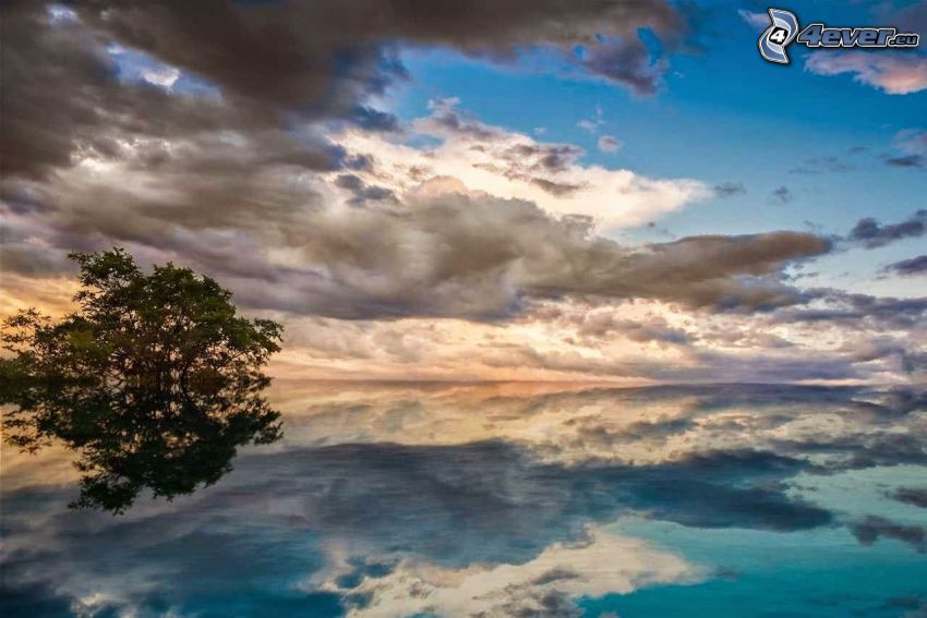 lake, clouds, trees, reflection, sunrise