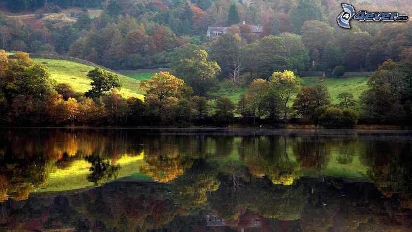 lake, colour trees, reflection