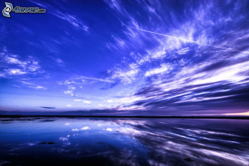 lake, evening, contrail