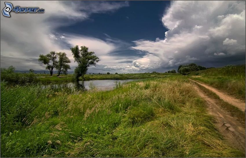 lake, grass, field path, trees, clouds