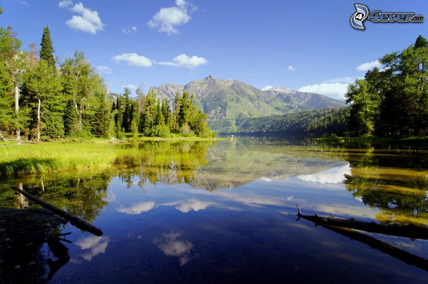 lake, hill, forest, reflection