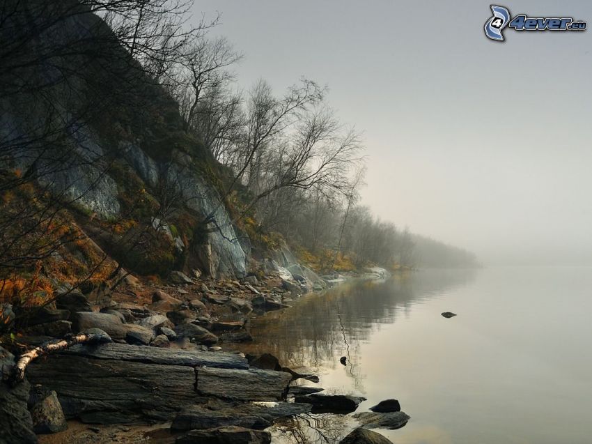 lake, rock, fog