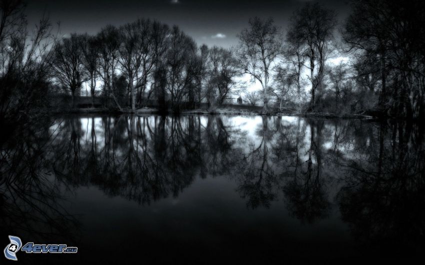 lake in the forest, darkness