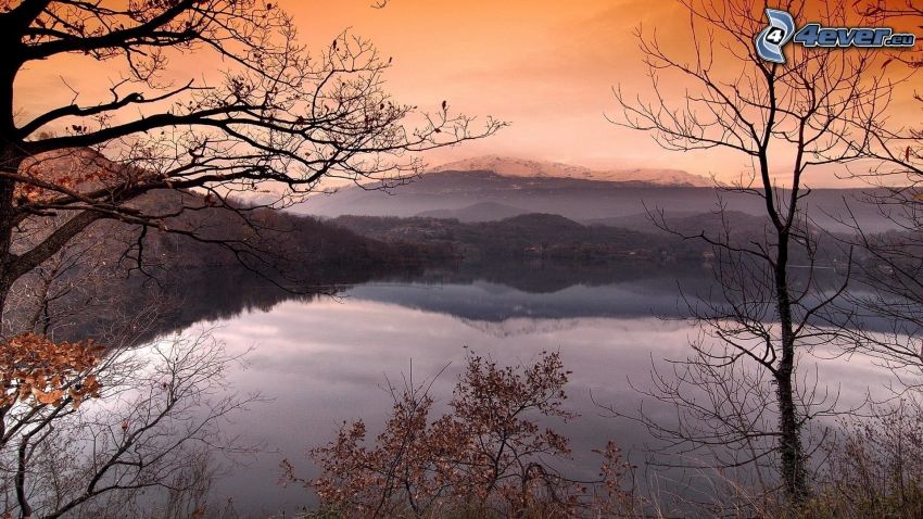 lake in the forest, orange sky, trees
