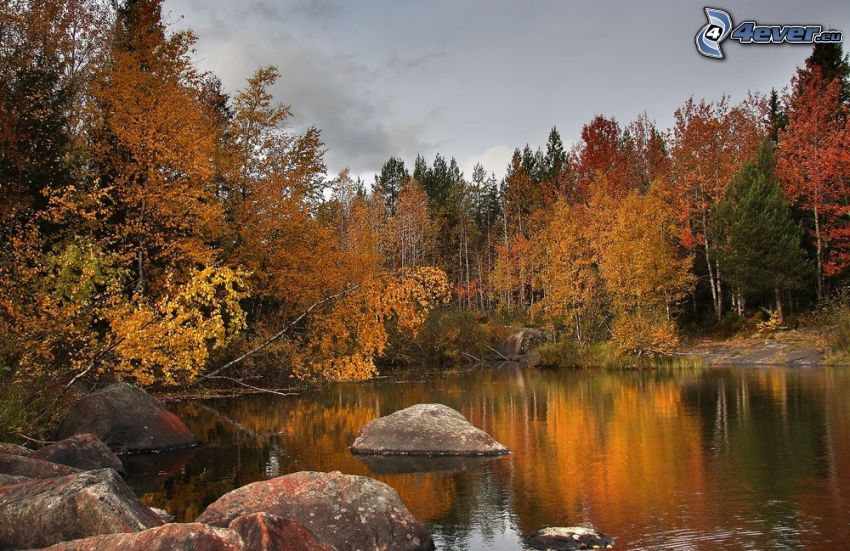 lake in woods, colorful autumn trees, boulders