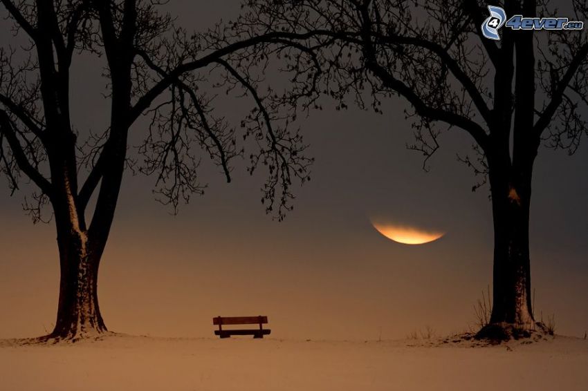 bench in the park, trees in park, moon, snow