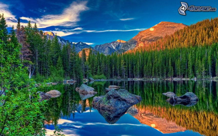 coniferous forest, rocky mountains, lake, HDR