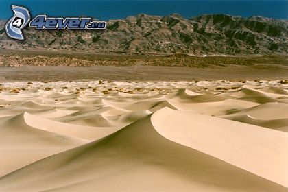 dunes, desert
