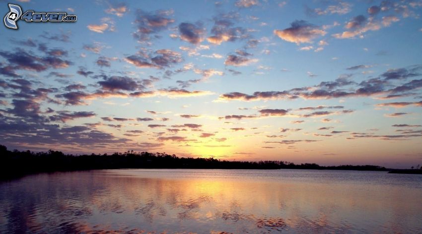 evening calm lake