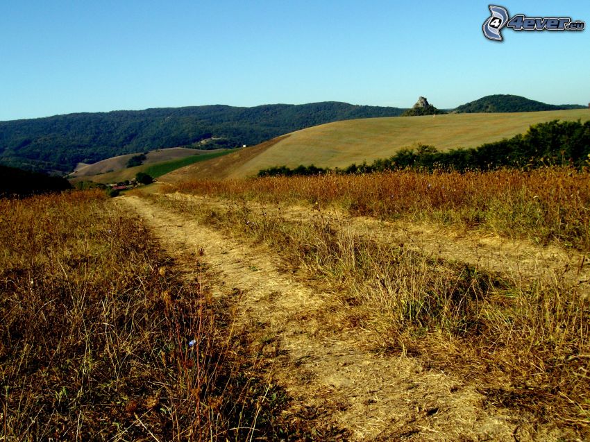 field path, hilly country, dry grass
